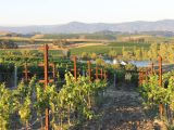 Hydrogen fuel cells - California Wine Region