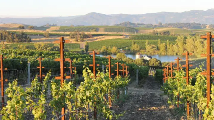 Plug Power hydrogen fuel cells to displace diesel generators in California wine country