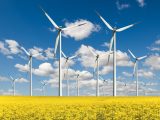 Green hydrogen - Wind Farm in Field