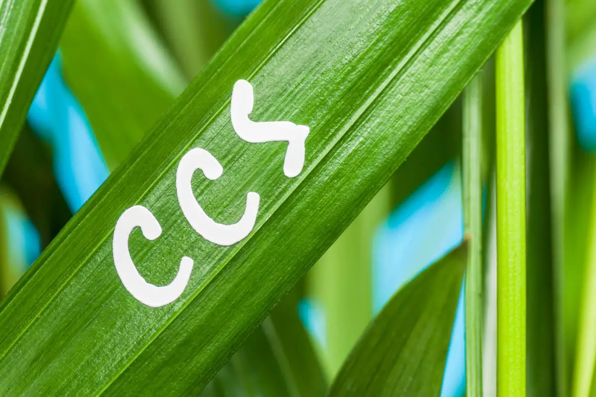 Waste-to-hydrogen - CCS - Plant