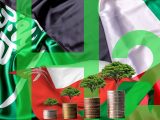 Green hydrogen investment - Flags of Saudi Arabia, Oman and UAE