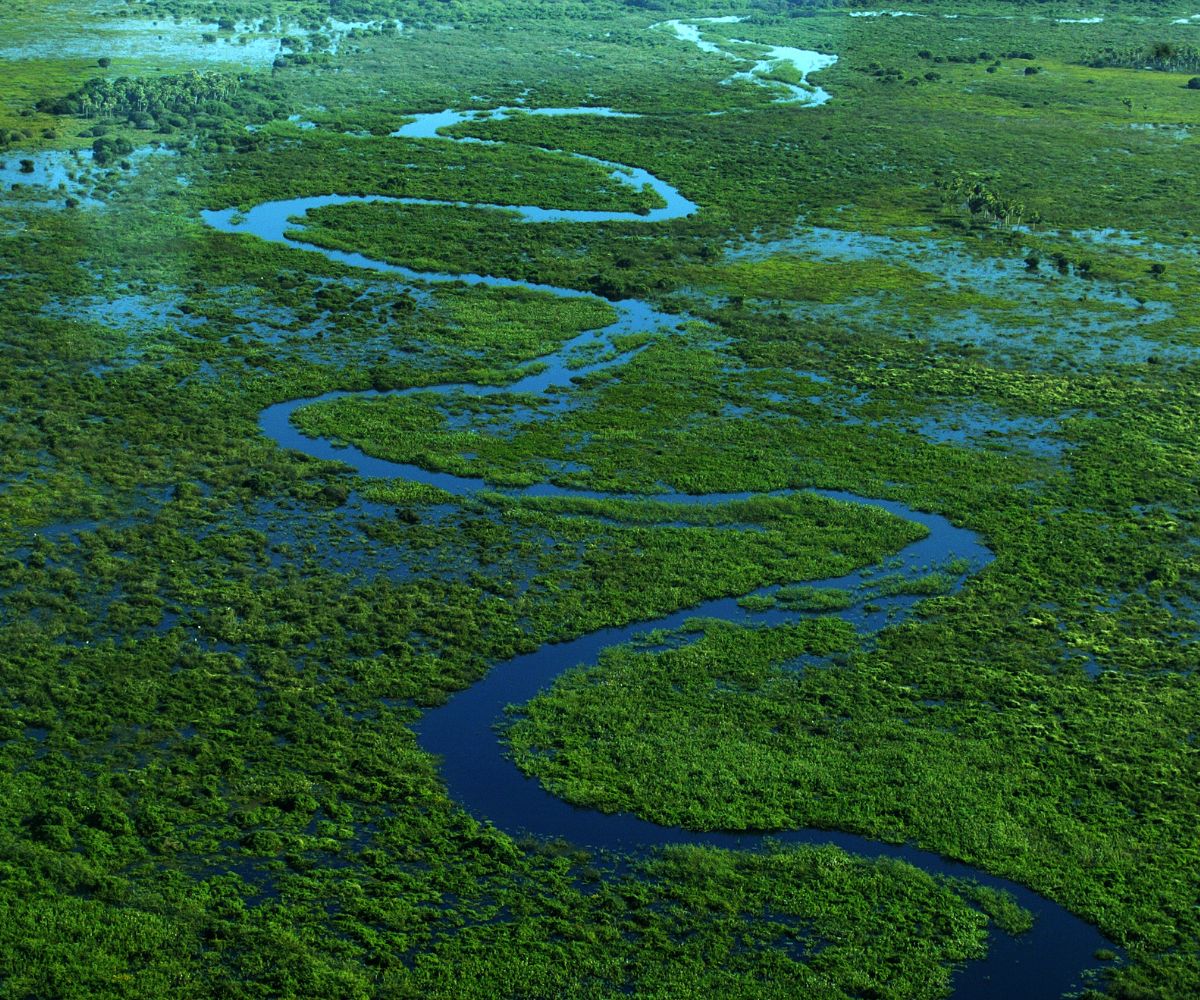 a scienctific look at methane and wetlands