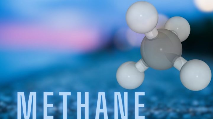 Methane Mirage: Understanding Subterranean Microbial Architects of Emission