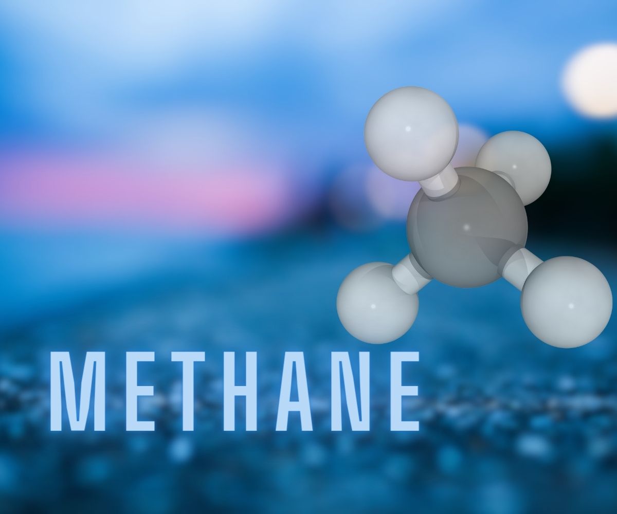 Methane Mirage: Understanding Subterranean Microbial Architects Of ...