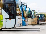 hydrogen buses popularity