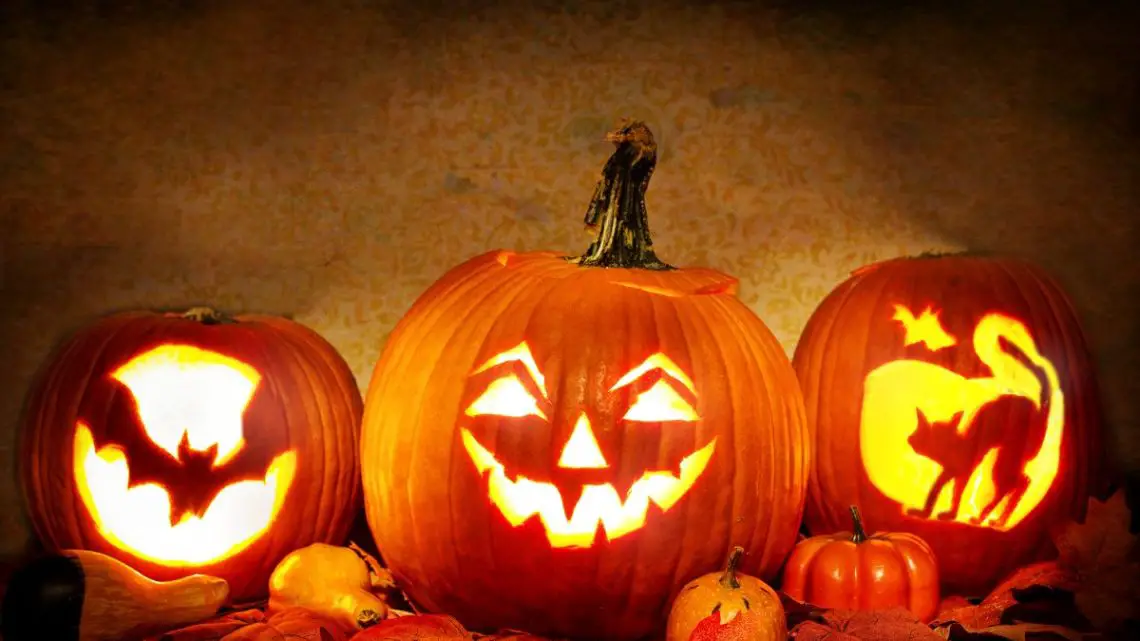 Reduce your pumpkin waste after Halloween, the climate will thank you