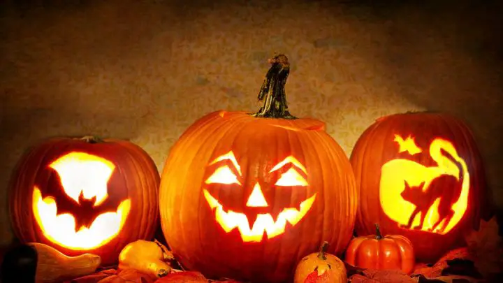 Reduce your pumpkin waste after Halloween, the climate will thank you