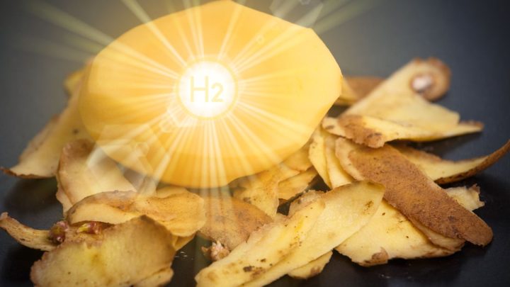 Potato waste used in new hydrogen production research in P.E.I.