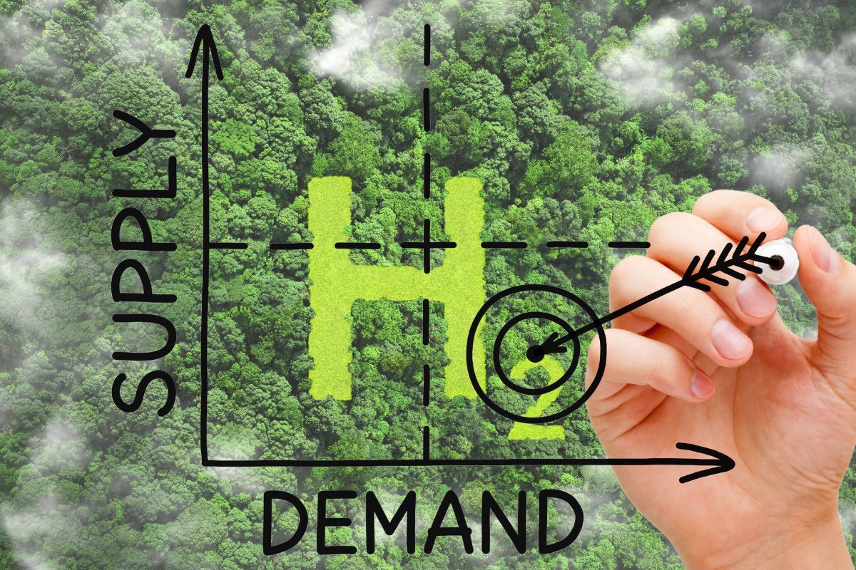 Renewable hydrogen - Supply and Demand