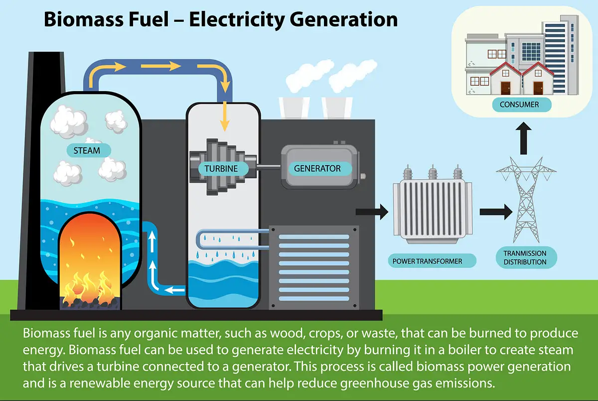 how does biomass energy factory work