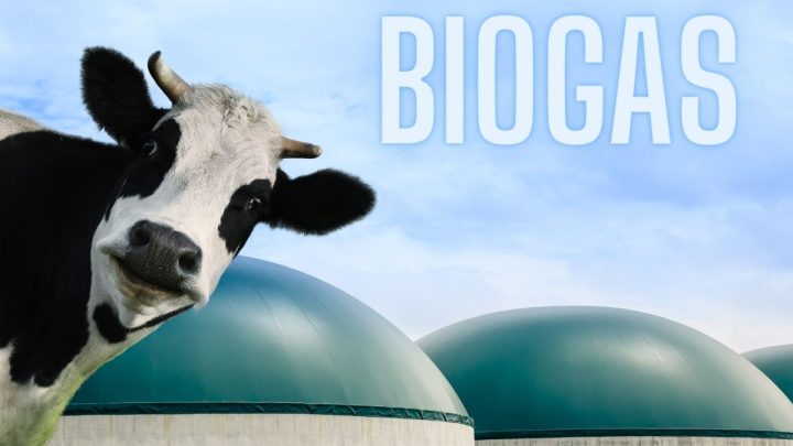 Advantages of Desulfurization in Biogas Plants