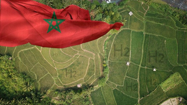Green hydrogen projects in Morocco need land, government offers 1 million hectares