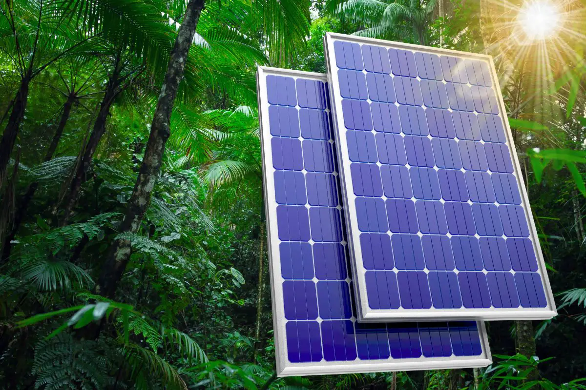 Solar Energy - solar panels - rainforest