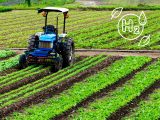 Hydrogen agriculture - Farming
