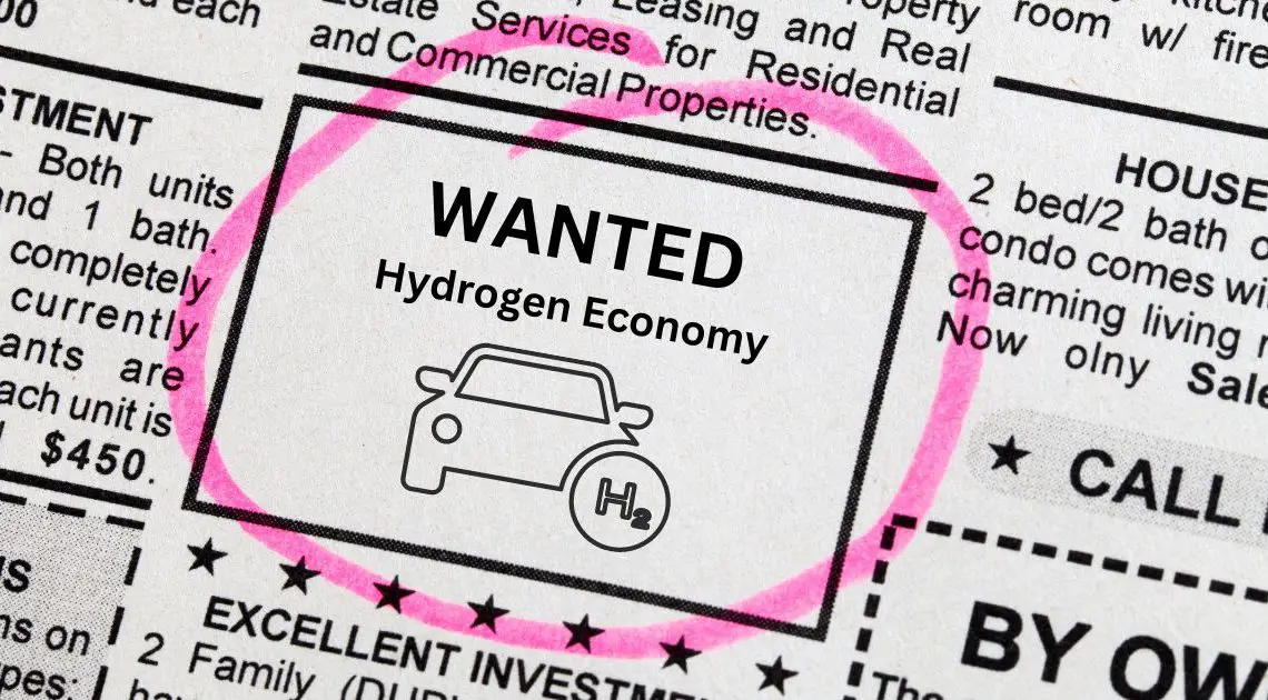 What exactly does a hydrogen economy mean?