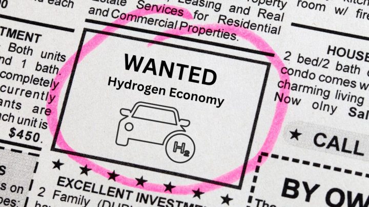 What exactly does a hydrogen economy mean?