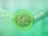 Green Ammonia - PP and AGA partnership