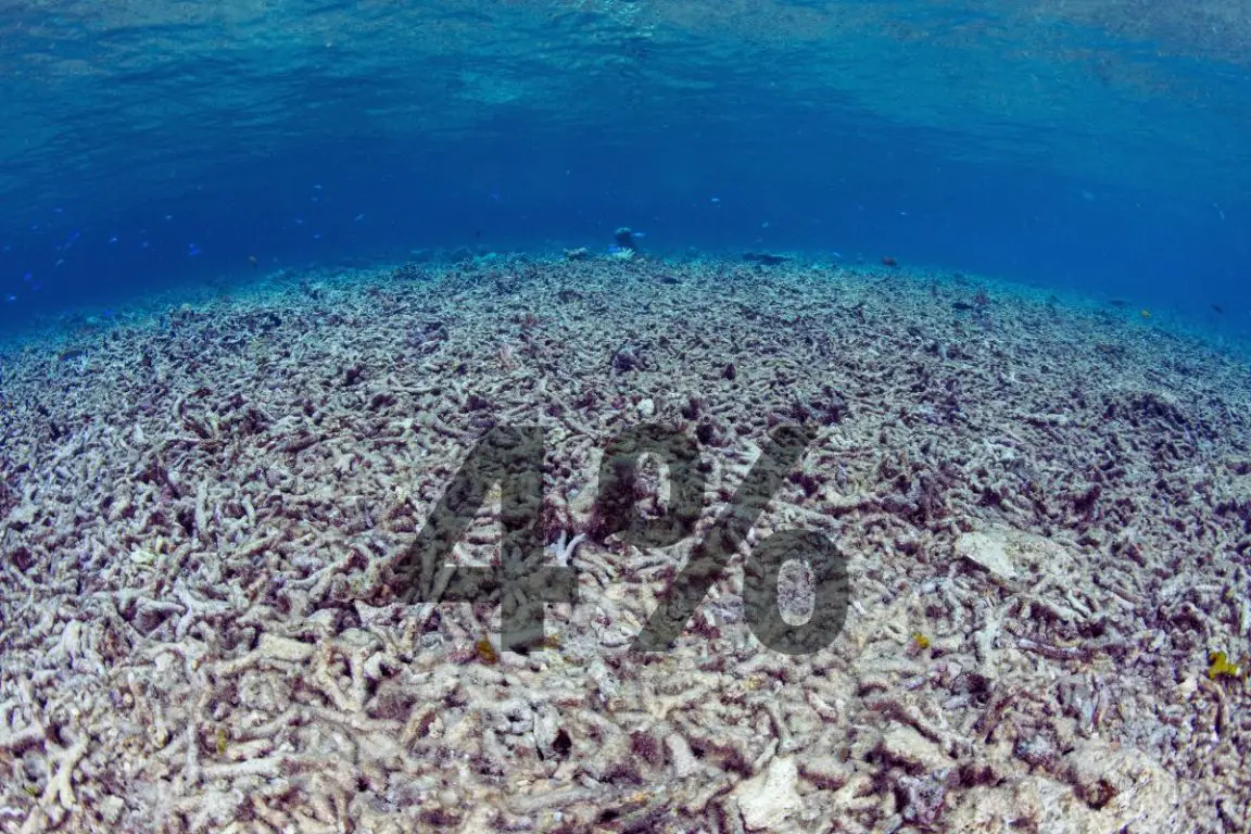 Dead Sealife in ocean - 4% increase