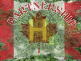 Green Hydrogen - Canada Partnership