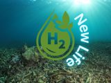 Hydrogen fuel production - New Life to dead ocean zone