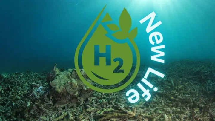Hydrogen fuel production project could bring ocean dead zones back to life!