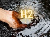 Gold H2 - Person cupping oil in hands