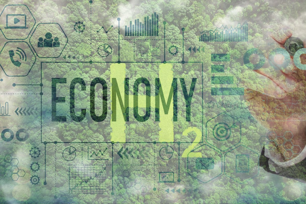 Hydrogen fuel - Green Hydrogen Economy