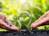 Hydrogen fuel - Planting Green Energy