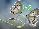 Decarbonisation and Digitisation - Twin Butterflies - H2