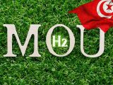 Green Hydrogen MOU - Tunisia Flag