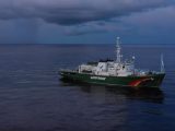 greenpeace vessel
