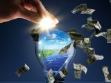 Koloma Green Investment