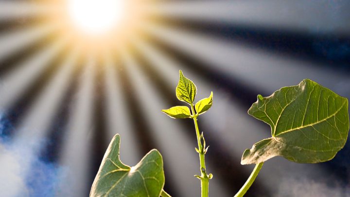 Science News Breakthrough in Artificial Photosynthesis Produces Hydrogen 5x Faster