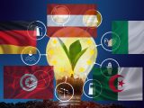 Europe’s Green Energy Future