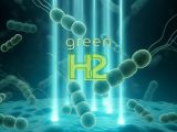 green hydrogen science news