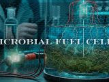Microbial Fuel Cells