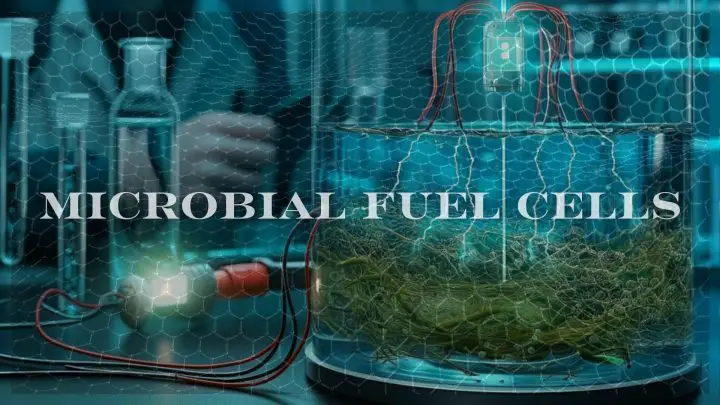 Microbial Fuel Cells Just Got a Massive Boost From Nanotechnology