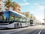 Hyundai's Nexo is heading to India by 2025 as Palma, Spain, rolls out hydrogen buses—marking major steps in green transport. Hydrogen fuel cell tech drives this clean leap forward in both urban and global contexts.