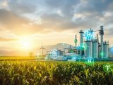 South African researchers have developed a high-efficiency SECLG process to produce green hydrogen from sugarcane waste. With built-in carbon capture and superior purity, this biomass-based approach could reshape industrial energy in bagasse-rich economies.