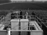 BrightHy Solutions strikes €30M hydrogen infrastructure investment agreement, targeting mid-scale deployment across Europe over four years.