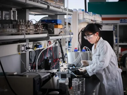 Hydrogen Production Breakthrough: KIER’s Carbon Cloth Electrode Powers 800-Hour Seawater Electrolysis