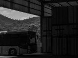 Tasmania’s first green hydrogen electric buses hit Hobart in a two-year ZEB trial, using on-site electrolysed hydrogen, H2CORE refuelling and Foton fuel cell technology.