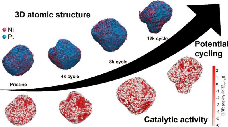 Hydrogen fuel cells: Atomic scan reveals gallium boost catalyst durability