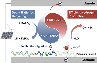 Hydrogen Production Reimagined: Membrane-Free Electrolysis Delivers Green H2 and LFP Battery Recycling Hydrogen Production Reimagined: Membrane-Free Electrolysis Delivers Green H2 and LFP Battery Recycling