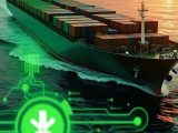 Lloyd’s Register CEO Nick Brown warns that shipping’s move to green hydrogen risks greenwashing without robust certification and enforcement ahead of 2026 deadlines.