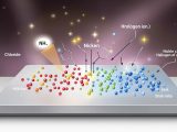 Study reveals halogen adsorption limits nickel catalyst activity and stability in alkaline hydrogen oxidation, guiding future fuel cell design.