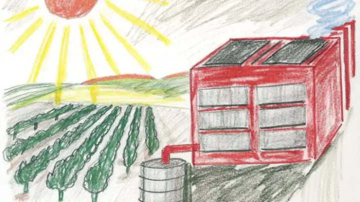 Solar-Powered Biomass Co-Electrolysis Delivers Low-Cost H₂