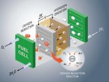 Fritz Haber Institute researchers reveal that fuel cell catalyst kinetics involve multiple dynamic rate-limiting steps, challenging single-step models.