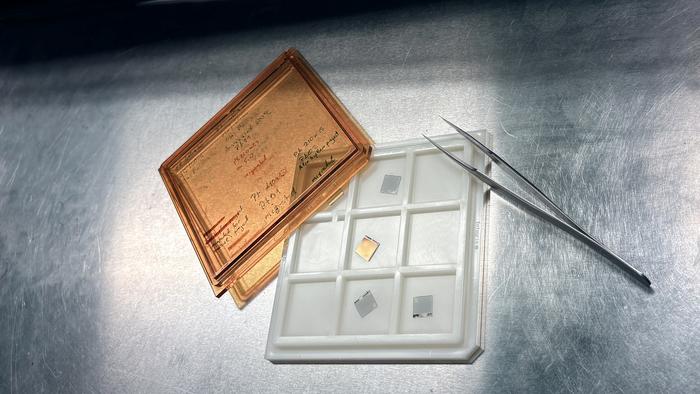 Humidity-Resistant Hydrogen Sensor Boosts Safety in Clean Energy Systems