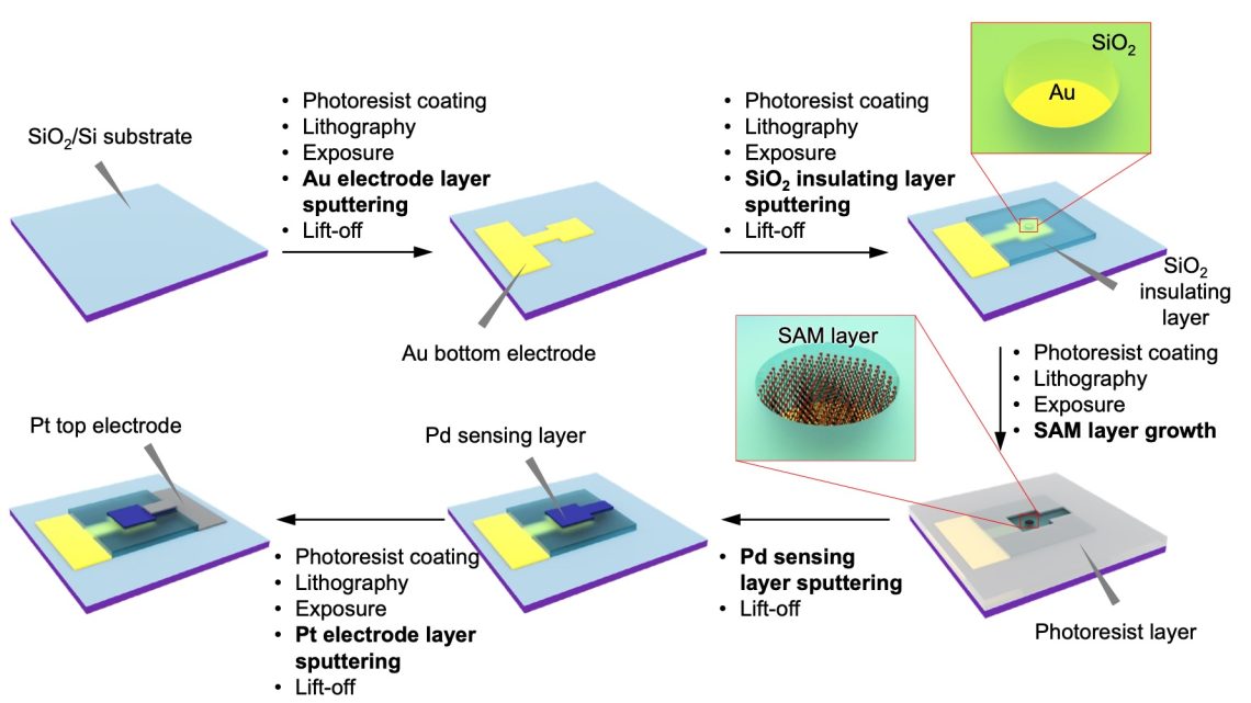 Hydrogen Sensor Innovation: Interfacial Stress Decoupling Enhances Palladium-Based Detection Hydrogen Sensor Innovation: Interfacial Stress Decoupling Enhances Palladium-Based Detection